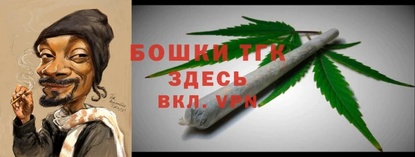 молекула духа Лихославль