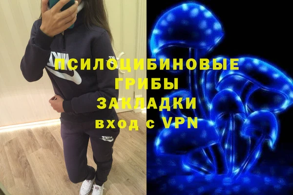 молекула духа Лихославль